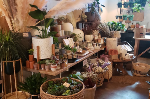 A cozy shop filled with various plants, pots, and decorative items on wooden tables and shelves.