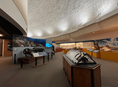 Interior of a museum exhibit featuring displays about marine life, with informative panels and a curved ceiling.