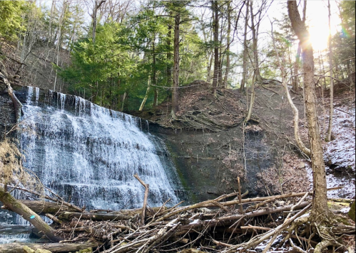 A serene waterfall cascades down a rocky cliff, surrounded by trees and fallen branches in a tranquil forest setting.