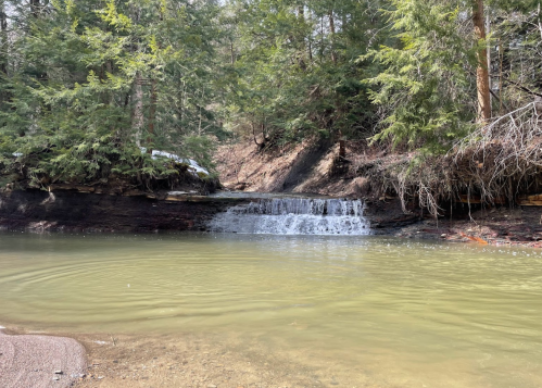 A serene waterfall cascades into a calm pool, surrounded by lush green trees and rocky terrain.