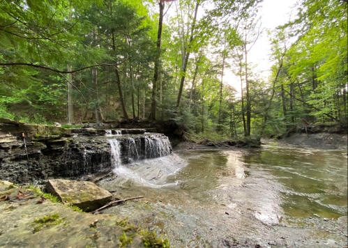 A serene waterfall cascades over rocks into a calm stream, surrounded by lush green trees in a peaceful forest setting.