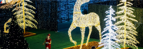 A child in a red dress runs through a festive display of illuminated trees and a reindeer made of lights.