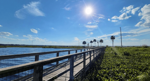 A wooden boardwalk extends over water, surrounded by greenery, under a bright blue sky with fluffy clouds and a shining sun.