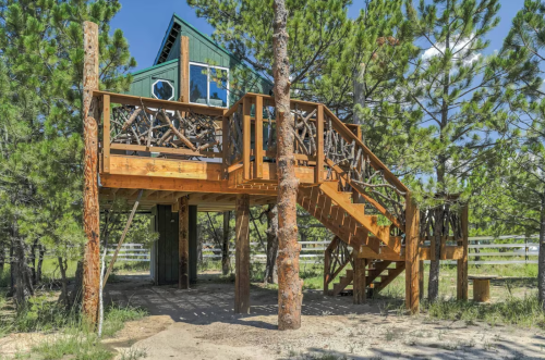 A wooden treehouse with a green roof, elevated on stilts, surrounded by tall pine trees and a sandy area below.