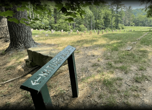 A wooden sign labeled "Nature Walk" in a grassy area with trees and a path lined by stone markers.