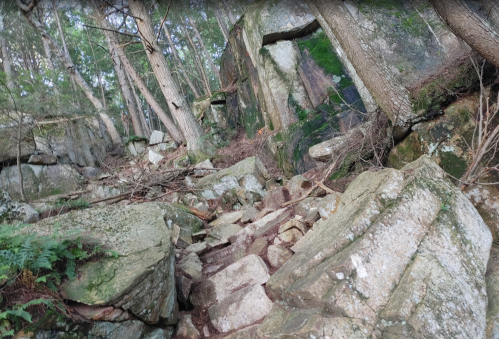 Rocky trail winding through a forest with trees and moss-covered boulders.