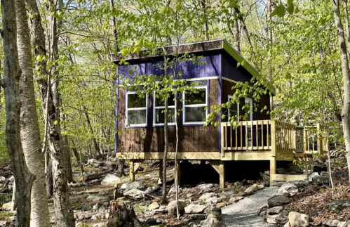 A small, colorful cabin on stilts surrounded by trees and rocks in a forested area.