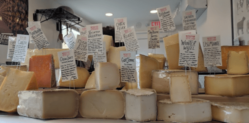 A display of various cheeses with labeled signs, showcasing different types and descriptions in a cheese shop.