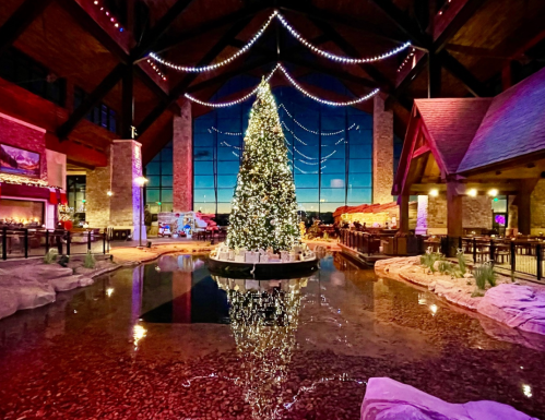 A beautifully decorated Christmas tree stands in a lobby, reflecting in a calm water feature, with festive lights above.