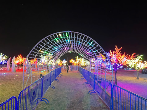 A colorful light display with an archway and illuminated trees, set in a dark night sky. Fenced pathway leads through.