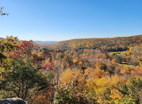 A vibrant autumn landscape with colorful trees and rolling hills under a clear blue sky.