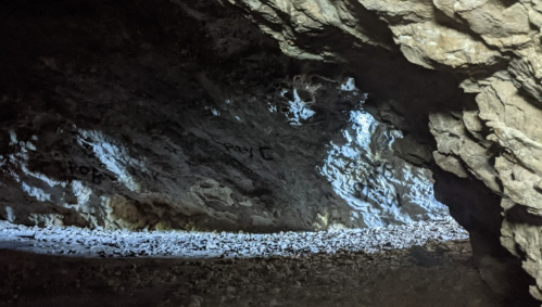 A dimly lit cave interior with rocky walls and scattered stones on the ground. Light illuminates part of the cave.