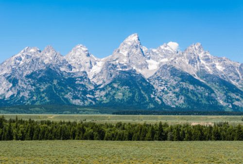 A panoramic view of the Grand Teton mountain range under a clear blue sky, with lush green forests in the foreground.