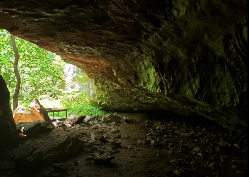 A cave interior with rocky ground, illuminated by natural light from the entrance surrounded by greenery.