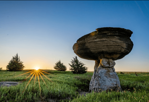 A large, mushroom-shaped rock formation stands in a grassy field at sunrise, with trees in the background.
