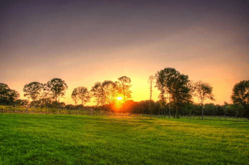 A vibrant sunset over a green field, with trees silhouetted against a colorful sky.