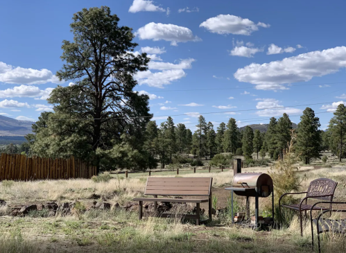 A scenic outdoor view featuring a bench, grill, and tall trees under a blue sky with fluffy clouds.