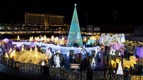 A vibrant holiday light display featuring a large illuminated tree and various colorful decorations at night.