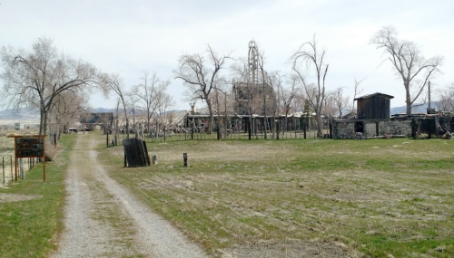 A dirt path leads to an abandoned building surrounded by bare trees and a grassy area.