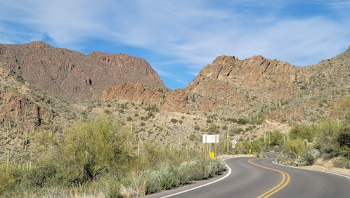 Winding road through a desert landscape with rocky mountains and cacti under a blue sky.
