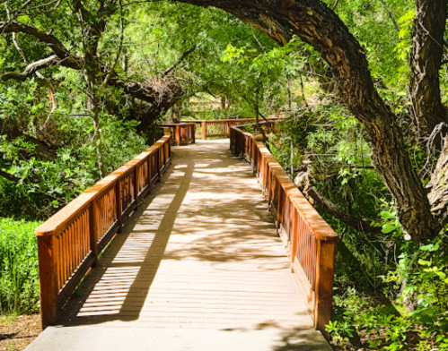 A wooden bridge surrounded by lush greenery, leading through a peaceful natural setting.