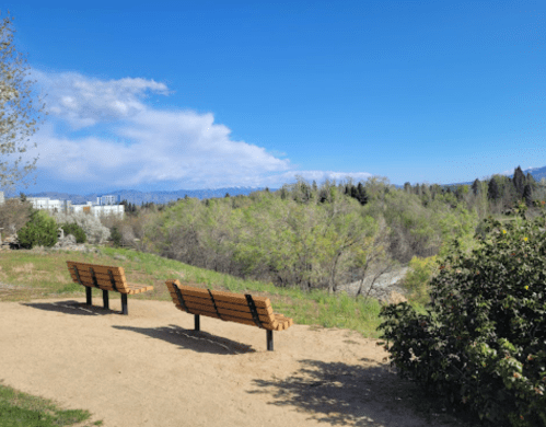 Two wooden benches facing a scenic view of trees and mountains under a clear blue sky.