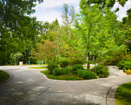 A winding pathway through a lush green park, surrounded by trees and shrubs under a clear sky.