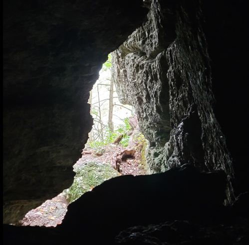 View from inside a cave, showing a bright opening and greenery outside.