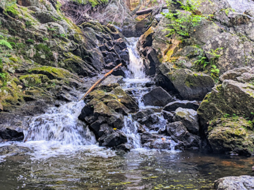 A serene waterfall cascading over moss-covered rocks into a calm pool below, surrounded by lush greenery.