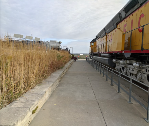 A view of a train track with two trains, one yellow and one silver, alongside a concrete pathway and tall grass.