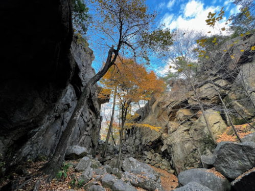 A rocky canyon with tall trees and autumn foliage under a blue sky with scattered clouds.