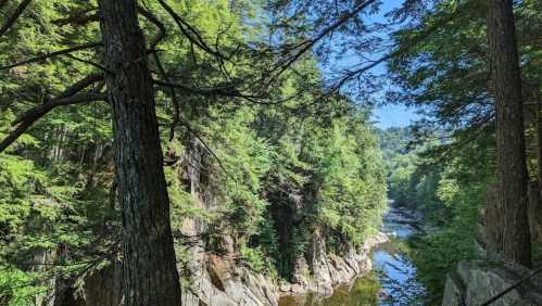 A serene river flows through a lush green canyon, surrounded by tall trees and rocky cliffs under a clear blue sky.