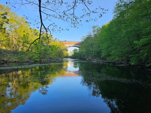 A serene river scene with lush green trees and a bridge reflected in the calm water under a clear blue sky.