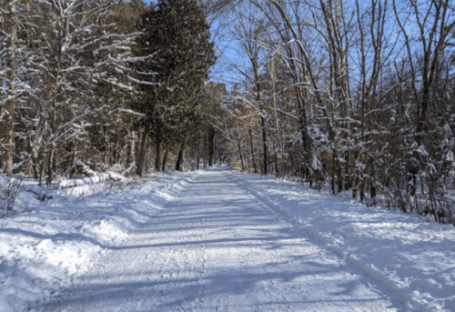 A snowy path lined with trees under a clear blue sky, creating a serene winter landscape.