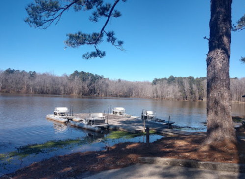 A serene lake view with a wooden dock and boats, surrounded by trees under a clear blue sky.