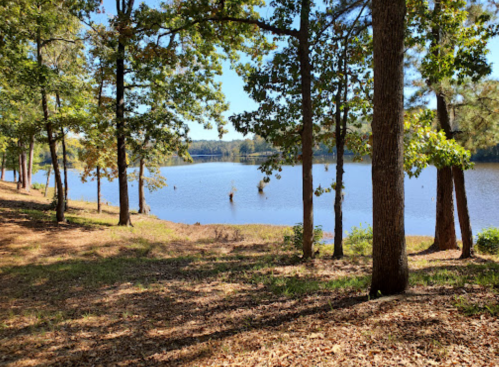 A serene lake surrounded by trees, with clear blue skies and gentle ripples on the water's surface.