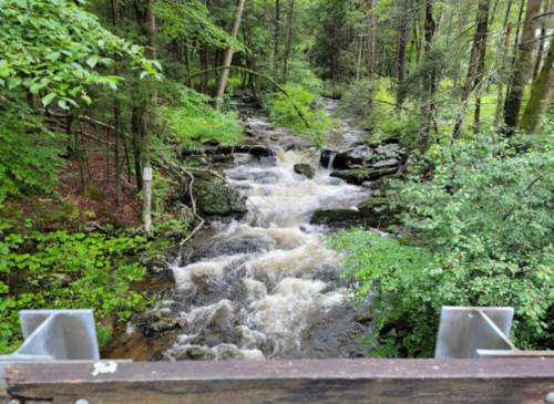 A flowing river surrounded by lush green trees and rocks, creating a serene natural landscape.