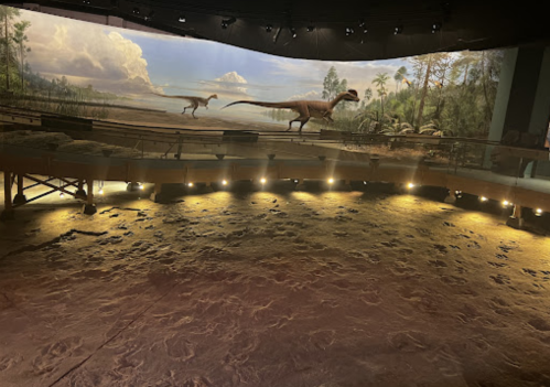 A museum exhibit featuring a prehistoric landscape with dinosaur models and a well-lit, textured floor.