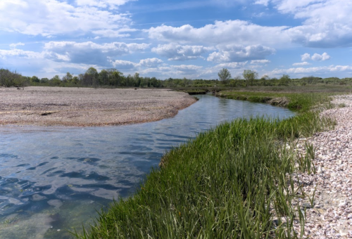 A serene river flows through a grassy landscape under a blue sky with fluffy clouds.