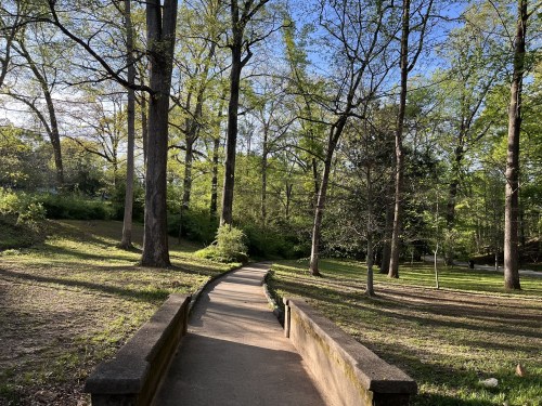 A serene park path winding through tall trees and lush greenery under a clear blue sky.