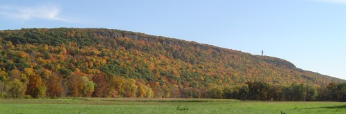 A scenic view of a colorful forested hillside under a clear blue sky, with a tower visible at the top.