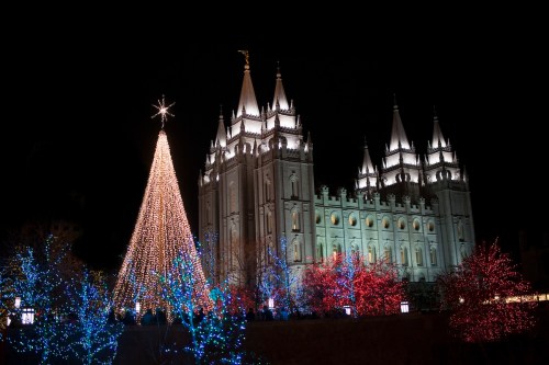 A brightly lit Christmas tree in front of a grand, illuminated temple at night, surrounded by colorful holiday lights.
