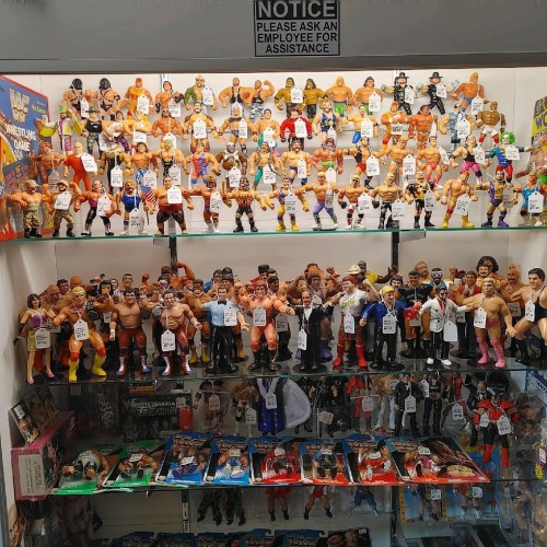 A display case filled with various wrestling action figures, each labeled with price tags.
