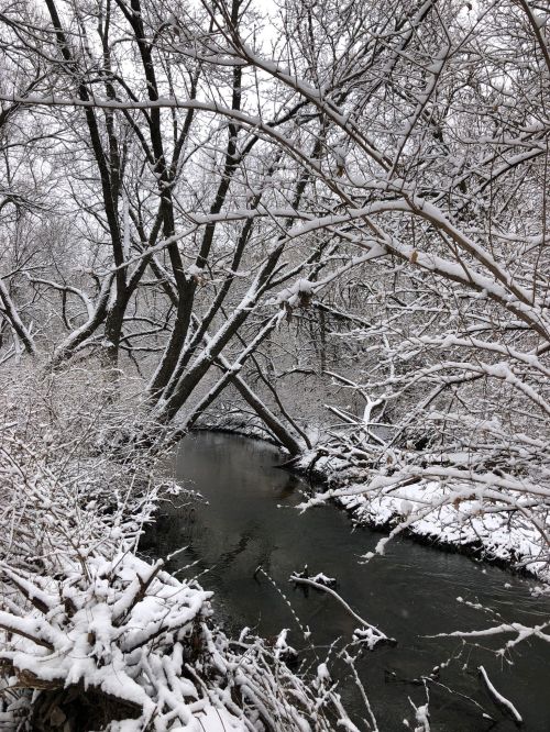 A serene winter scene featuring a snow-covered creek surrounded by bare trees and a blanket of fresh snow.