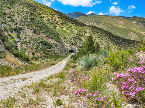 A dirt path leads through a mountainous landscape with green hills and colorful wildflowers, ending at a dark tunnel entrance.