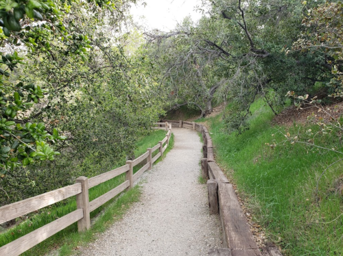 A winding gravel path surrounded by lush greenery and wooden fences in a serene outdoor setting.