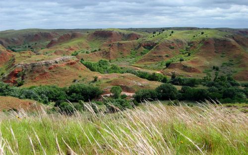 Lush green hills and valleys under a cloudy sky, with vibrant red soil and scattered trees in the landscape.