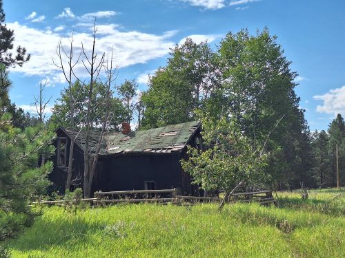 An old, dilapidated cabin with a mossy roof, surrounded by tall grass and trees under a blue sky.