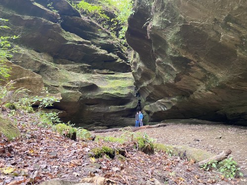 A person stands in a rocky, moss-covered cave surrounded by lush greenery and fallen leaves.