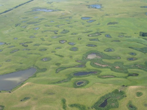 Aerial view of a lush green landscape with numerous small ponds and wetlands scattered throughout.